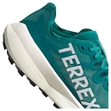 Heren hardloopschoenen adidas Terrex Agravic Speed Purtea/Greone/Cblack