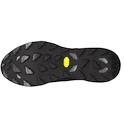 Heren hardloopschoenen Mizuno  Wave Daichi 9 Gtx Black/Ultimate Gray/Black Sand