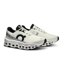 Heren hardloopschoenen On Cloudmonster 2 White/Frost