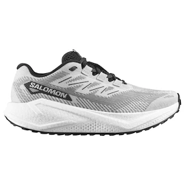 Heren hardloopschoenen Salomon Aero Blaze 3 GRVL Lunar Rock/White/Black