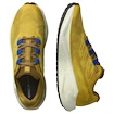 Heren hardloopschoenen Salomon Aero Blaze 3 GRVL Spicy Mustard/Vanilla Ice/Nautical Blue