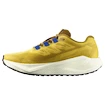 Heren hardloopschoenen Salomon Aero Blaze 3 GRVL Spicy Mustard/Vanilla Ice/Nautical Blue