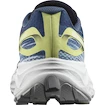 Heren hardloopschoenen Salomon  AERO GLIDE