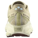 Heren hardloopschoenen Salomon Aero Glide 3 GRVL Green Haze/Vanilla Ice/Russet