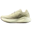 Heren hardloopschoenen Salomon Aero Glide 3 GRVL Green Haze/Vanilla Ice/Russet