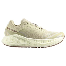 Heren hardloopschoenen Salomon Aero Glide 3 GRVL Green Haze/Vanilla Ice/Russet