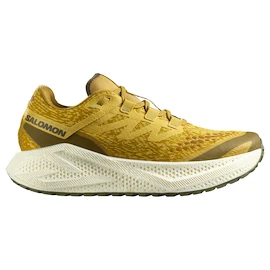 Heren hardloopschoenen Salomon Aero Glide 3 GRVL Spicy Mustard/Vanilla Ice/Deep Lichen Green