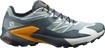 Heren hardloopschoenen Salomon Sense