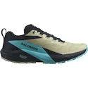 Heren hardloopschoenen Salomon Sense Ride 5 Alfalfa / Carbon / Peacock Blue  UK 11