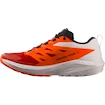 Heren hardloopschoenen Salomon Sense Ride SENSE RIDE 5