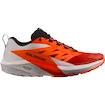 Heren hardloopschoenen Salomon Sense Ride SENSE RIDE 5
