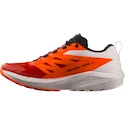 Heren hardloopschoenen Salomon Sense Ride SENSE RIDE 5