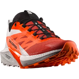 Heren hardloopschoenen Salomon Sense Ride SENSE RIDE 5