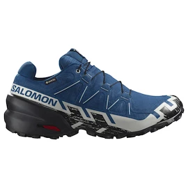 Heren hardloopschoenen Salomon Speedcross 6 Gore-Tex Poseidon/Black/Lunar Rock