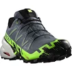 Heren hardloopschoenen Salomon Speedcross 6 Gtx Flint/Grgeck/Black