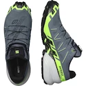 Heren hardloopschoenen Salomon SPEEDCROSS 6 GTX Flint/Grgeck/Black