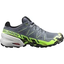 Heren hardloopschoenen Salomon SPEEDCROSS 6 GTX Flint/Grgeck/Black