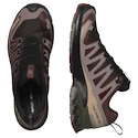 Heren hardloopschoenen Salomon Xa Pro 3D V9 Gore-Tex Black Coffee/Rum Raisin/Olive Night