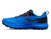 Heren hardloopschoenen Saucony Peregrine 14 Cobalt/Black