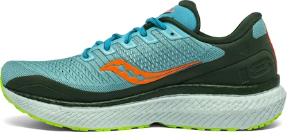 Heren hardloopschoenen Saucony  Triumph 18