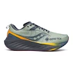 Heren hardloopschoenen Saucony  Triumph 22 Gtx Sage/Carbon  UK 10,5