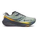 Heren hardloopschoenen Saucony  Triumph 22 Gtx Sage/Carbon  UK 9