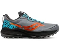 Heren hardloopschoenen Saucony  Xodus Ultra 2 Fossil/Basalt