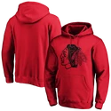 Heren hoodie adidas  Mono Core Graphic NHL Chicago Blackhawks SR