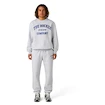 Heren hoodie CCM  Athleisure Crew Grey Melange