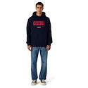 Heren hoodie CCM  Flag Hood Team CZE Navy