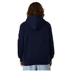 Heren hoodie CCM  Flag Hood Team USA Navy
