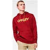 Heren hoodie Oakley  B1B PO HOODIE 2.0