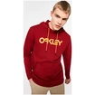 Heren hoodie Oakley  B1B PO HOODIE 2.0