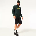 Heren hoodie Oakley  The Post Po Hoodie