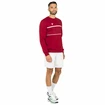 Heren hoodie Tecnifibre  Club Sweater Cardinal