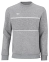 Heren hoodie Tecnifibre  Club Sweater Silver