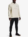 Heren hoodie Under Armour
