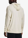Heren hoodie Under Armour