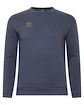 Heren hoodie Warrior Aurum Sweater Grey