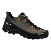 Heren outdoorschoenen Salewa  Alp Trainer 2 Bungee Cord/Black