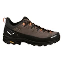 Heren outdoorschoenen Salewa Alp Trainer 2 Bungee Cord/Black