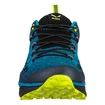 Heren outdoorschoenen Salewa MS Dropline