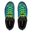 Heren outdoorschoenen Salewa MS MTN Trainer Lite