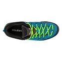 Heren outdoorschoenen Salewa MS MTN Trainer Lite