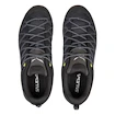 Heren outdoorschoenen Salewa MS MTN Trainer Lite GTX Black/Black