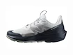 Heren outdoorschoenen Salomon  ELIXIR ACTIV Glacier Gray/Carbon/Slate Green