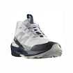 Heren outdoorschoenen Salomon  ELIXIR ACTIV Glacier Gray/Carbon/Slate Green