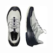 Heren outdoorschoenen Salomon  ELIXIR ACTIV Glacier Gray/Carbon/Slate Green