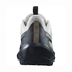Heren outdoorschoenen Salomon  ELIXIR ACTIV Glacier Gray/Carbon/Slate Green