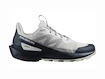 Heren outdoorschoenen Salomon  ELIXIR ACTIV Glacier Gray/Carbon/Slate Green